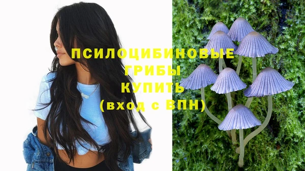 стафф Бронницы