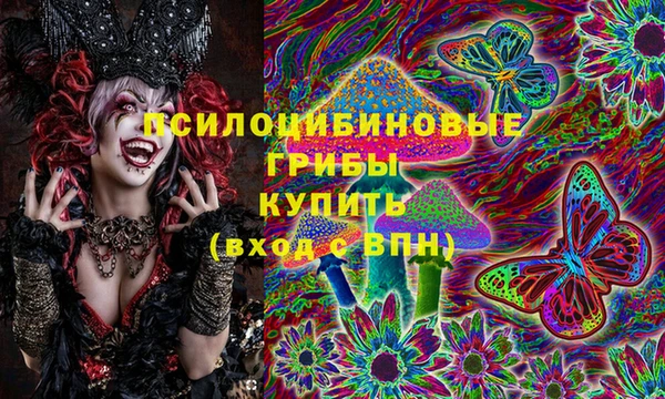 стафф Бронницы