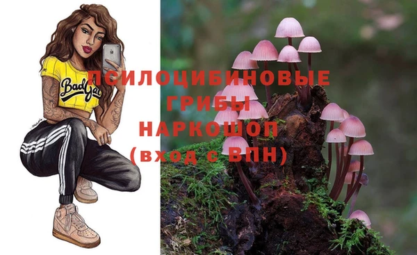стафф Бронницы