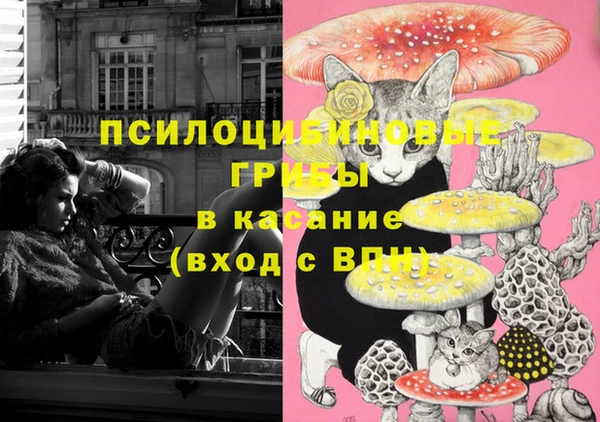 молекула духа Бородино
