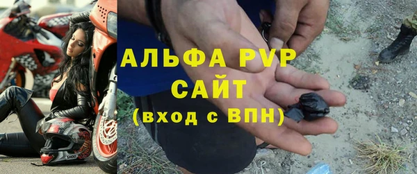 молекула духа Бородино