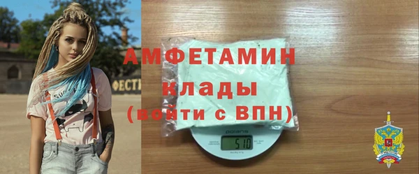 молекула духа Бородино